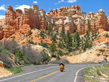 Buzz Article: Friday Feature: GPS, Don't Leave Home Without It