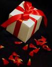 Buzz Article: GPS City's Top 5 GPS for the ladies!