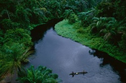 Buzz Article: GPS may save the Congo Basin.