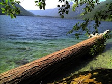 Buzz Article: Friday Feature: Geocaching the Trans Canada Trail
