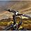 RAM Mount Apple iPod Touch G1 Series Ez On-Off Bike Rail Mount