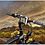 RAM Mount Garmin nuvi 500 Bike Mount RAP-274-1-GA32U