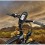 RAM Mount Magellan eXplorist XL Bike Mount RAP-274-1-MA6U