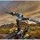 RAM Mount Long Cell Phone Bike Mount RAP-274-1-UN2U