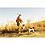 Garmin Astro Long Range Antenna #3