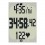 Garmin Red Forerunner 60 with HRM for Men Additional Photo #5