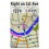 Garmin TOPO US Alaska Enhanced microSD Card #3