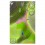 Garmin TOPO France South West DVD and microSD Card #2 Garmin TOPO France South West DVD and microSD Card #2