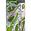Mountain Dynamics Snow Ranger GPS Ski Mapping N. America #1 Mountain Dynamics Snow Ranger GPS Ski Mapping N. America #1