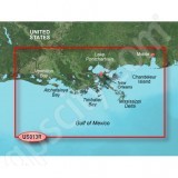 Garmin MicroSD Card BlueChart g2 Vision VUS013R