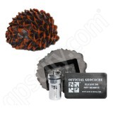 Geocaching Pinecone Cache