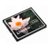 Kingston 1GB Compact Flash CF Data Card