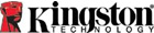 Kingston Logo