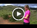 garmin forerunner 110: first run