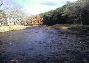 Standing in the cold river