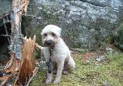 Too heavy at Hidey Hole Cache