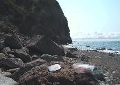 Coal mine cliffs cache