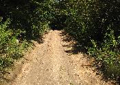 Something tells me this is not the right road!