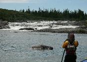 Chutes de Burin