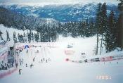 A ski race taking place.