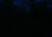 dark river crossing