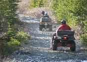 Trail Ride in Cochrane Pond Area