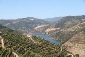 Douro region