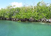Scenery On The Way To Snorkeling Reef