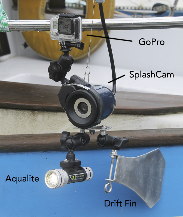 Underwater Camera Setup Gallery Article